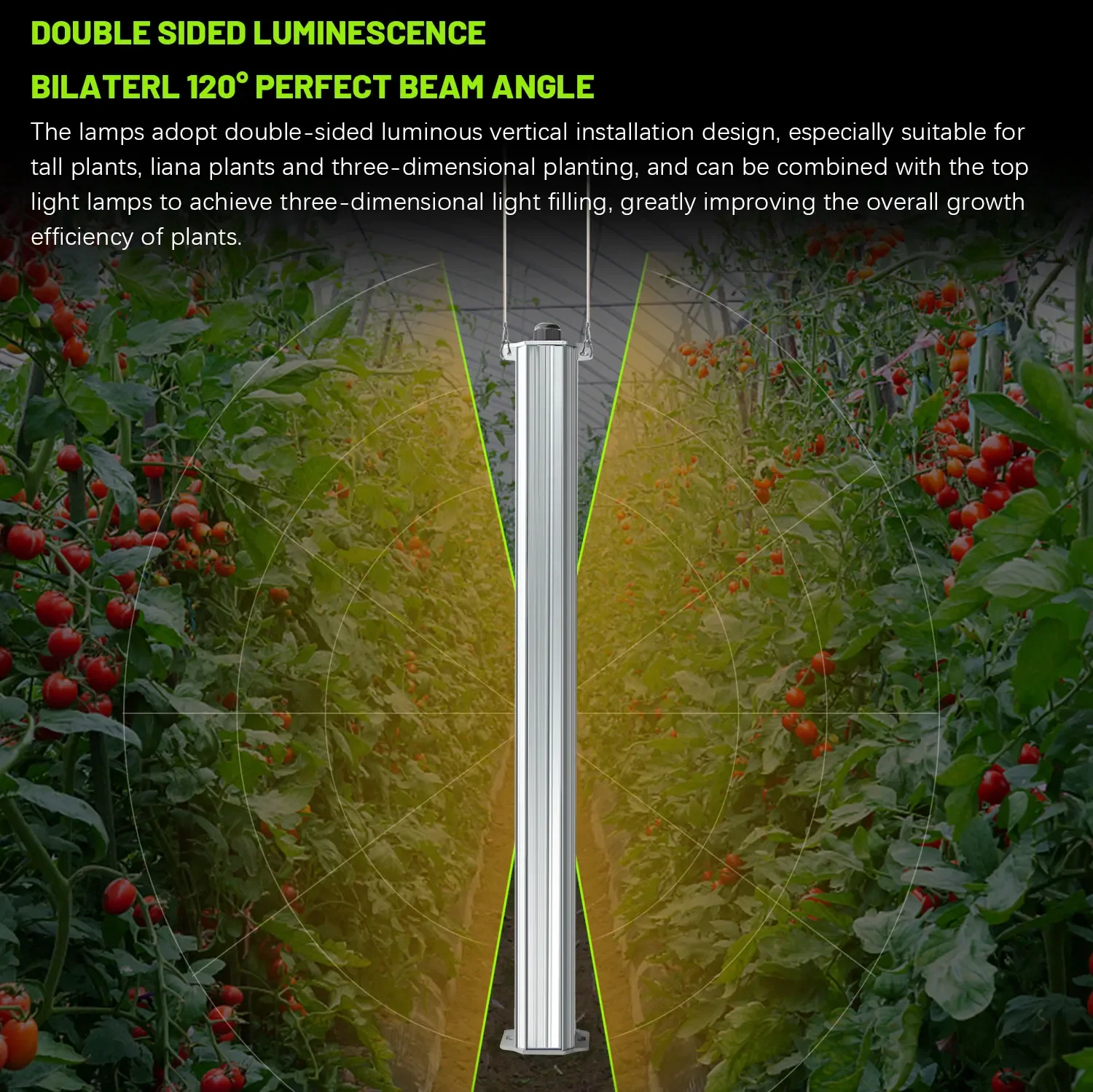 Migliore Sistema Idroponico Ce - List Of Agriculture Farming recensione e prezzo