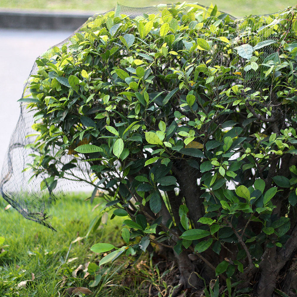 1 rete protettiva da giardino  - Agriculture Farming Net recensione e prezzo